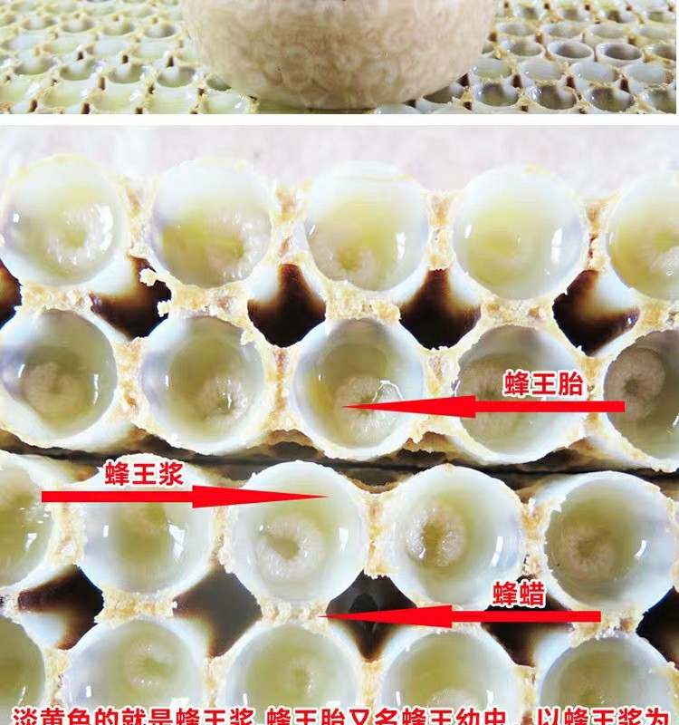 新鲜蜜蜂虫幼虫 蜂卵雄蜂王胎蜂幼虫补阳护卵巢养滋肌肤 瓶装x2 瓶装