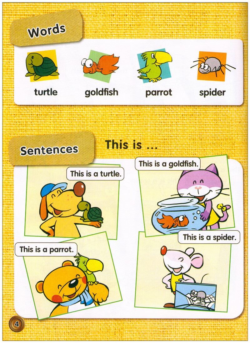 洪恩幼儿英语4helloteddy可点读36岁儿童英语视频教学早教英语教材