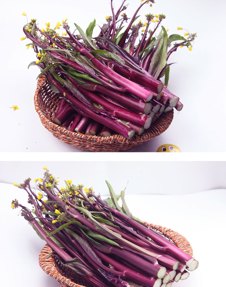 湖北红菜苔新鲜现摘当季蔬菜紫菜苔菜心农家自种武汉特产青菜批发 半