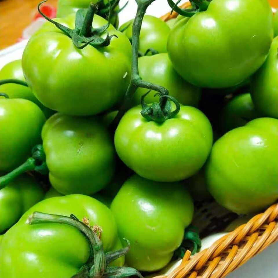 衢州青番茄图片