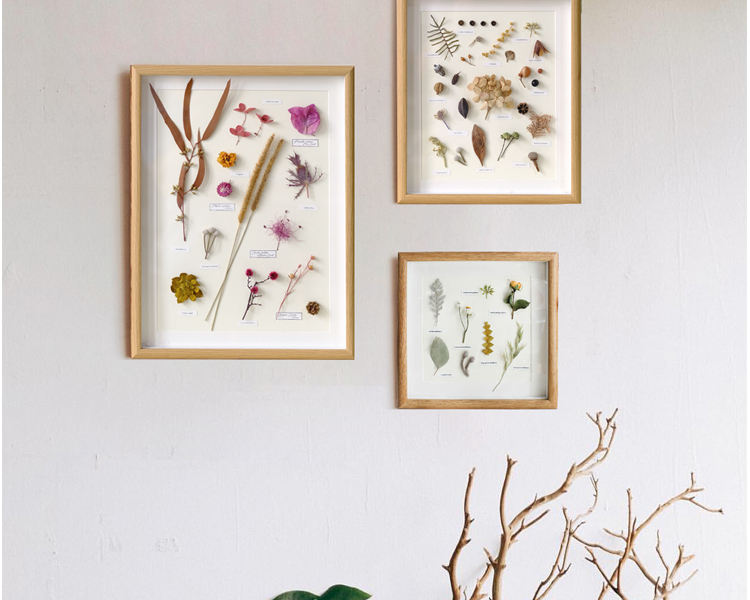 熠文文艺植物手作标本挂画照片墙干花相框民宿家居摆件创意礼品可立