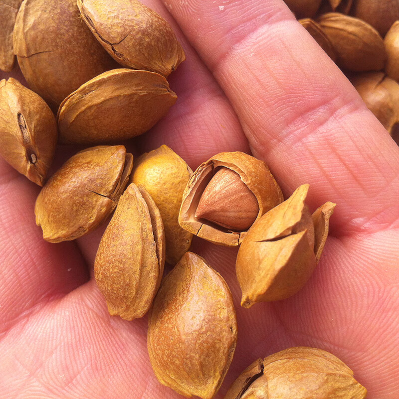 新货开口杏核小白杏仁坚果散装手剥薄壳休闲零食炒货原味1500g1斤五香