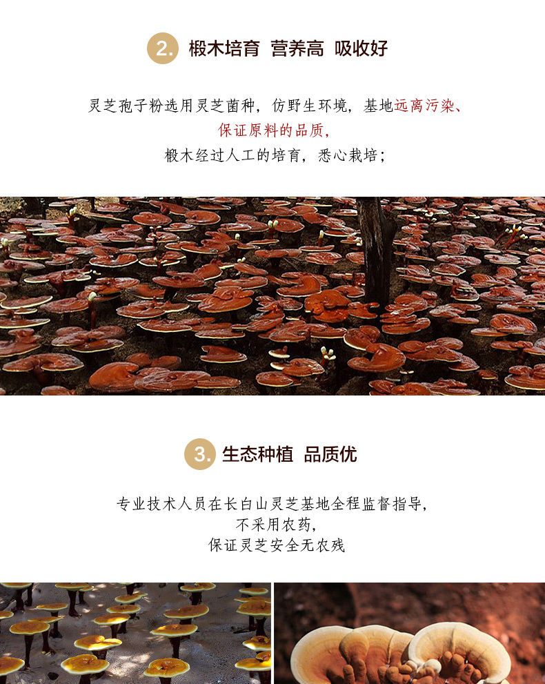 ccfe84404fdc1d1f.jpg