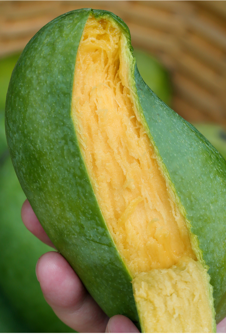 轻恋【顺丰速运】广西芒果百色桂七芒香芒新鲜水果整