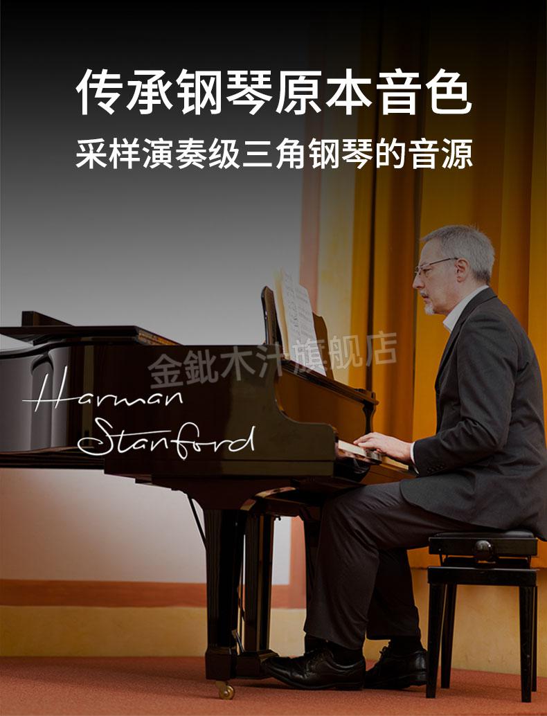 手卷钢琴88键版 特伦斯手卷电子钢琴88键幼师便携式软键盘初学者练器