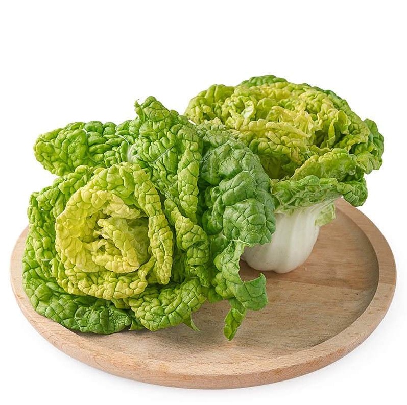 黄心乌菜种子 黄心菜乌塌菜菊花芯 皱叶小白菜耐低温农家蔬菜种子 黄