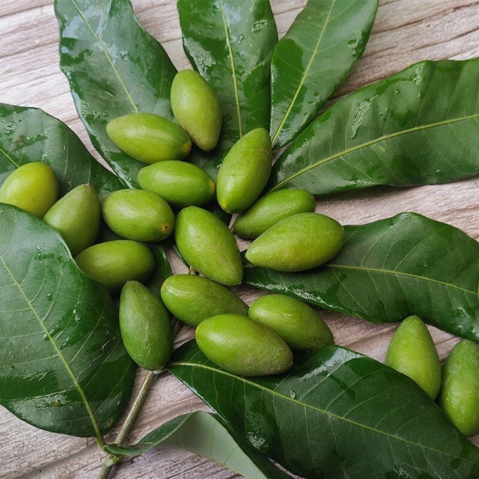 甜橄榄特甜甜种金灶橄榄果甜生吃酥脆无渣甘甜青翠生橄榄好吃2斤