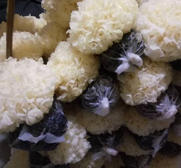 五折新鲜银耳古田湿白木耳糯6朵盒装活无硫非干货易出胶生雪耳带菌棒