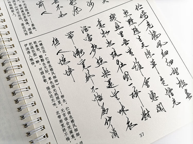 博鶴州古詩詞行草書法狂草字帖手寫體大學生鋼筆硬筆臨摹霸氣練字帖