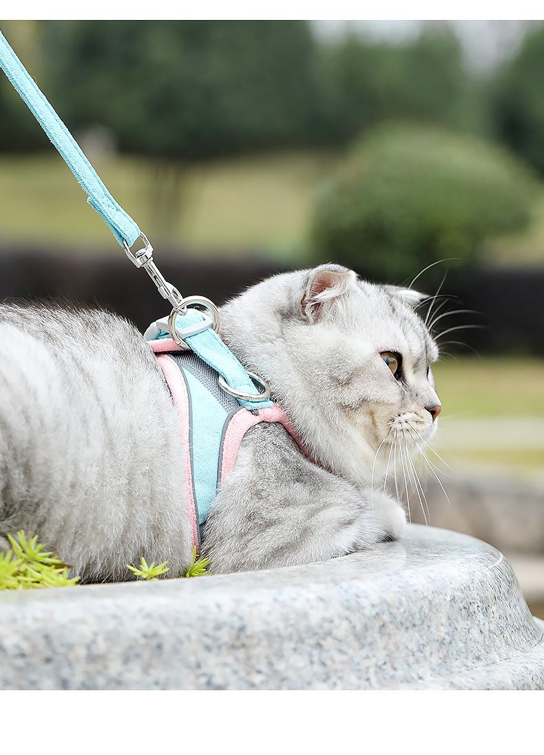 溜猫神器猫咪牵引绳防挣脱专用家用链子神器背心式外出链牵藏青樱桃