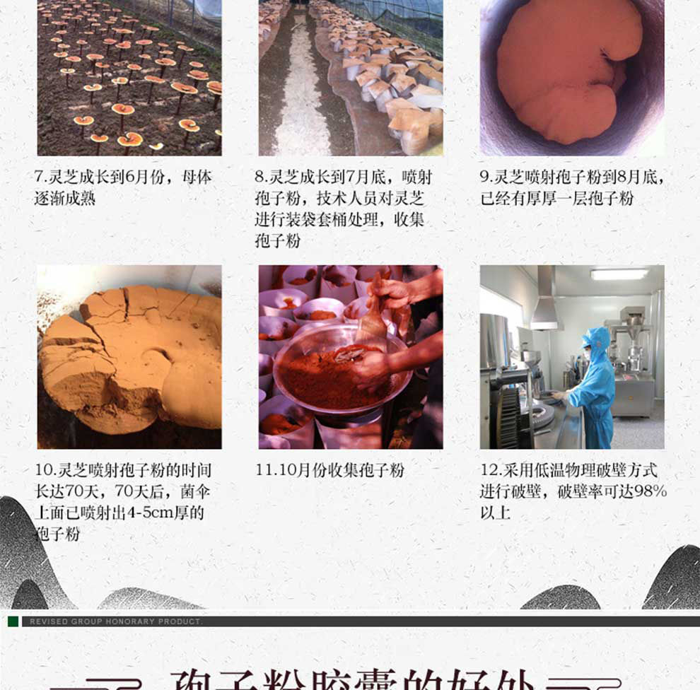 修正破壁灵芝孢子粉胶囊90粒瓶高含量中老年品送礼 修正牌*【周期装】
