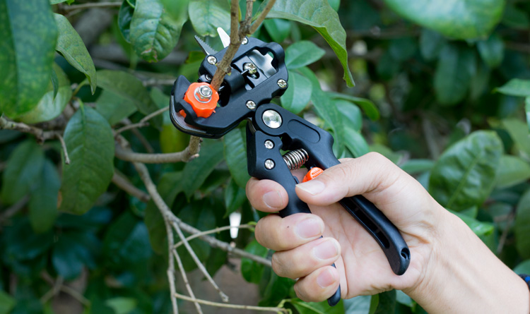 嫁接器多功能嫁接神器果树嫁接专用刀园林树苗嫁接机树木接树粗枝嫁接