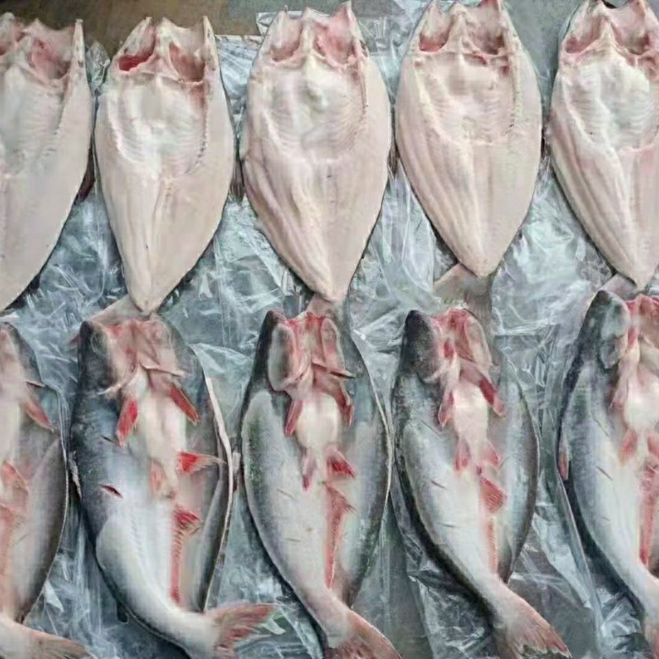 新鲜开背巴沙鱼新鲜冷冻湄公鱼巴沙鱼柳无刺纸包鱼烤鱼腾旺纳跃小号一