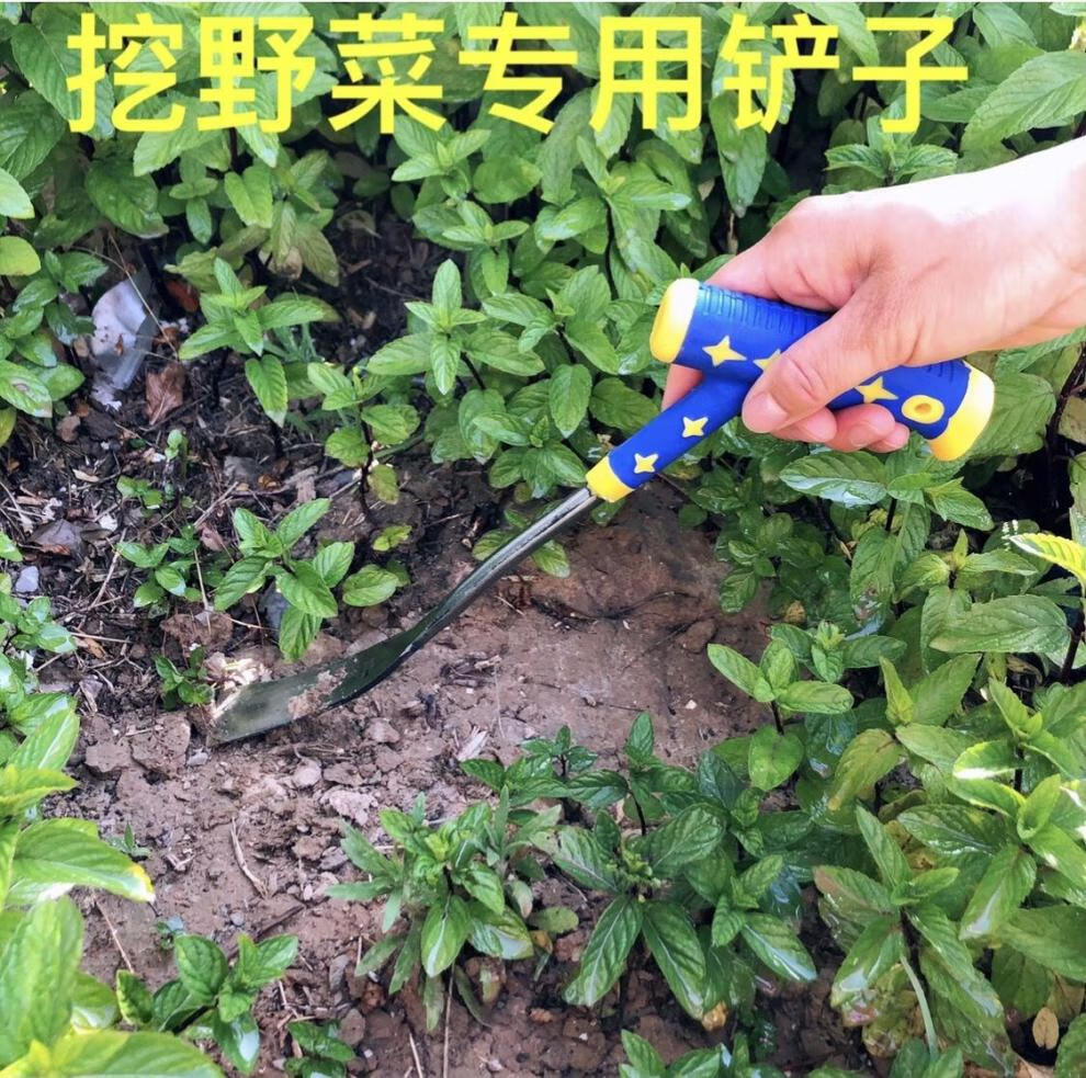 挖野菜的小铲子挖野菜专用铲小铲子挖土小铁铲园艺种花种菜工具挖荠菜