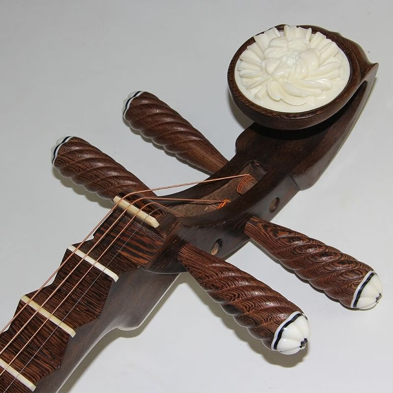 琵琶乐器 红木花梨鸡翅木琵琶 琴初学入门专业演奏级琵琶乐器 鸡翅木