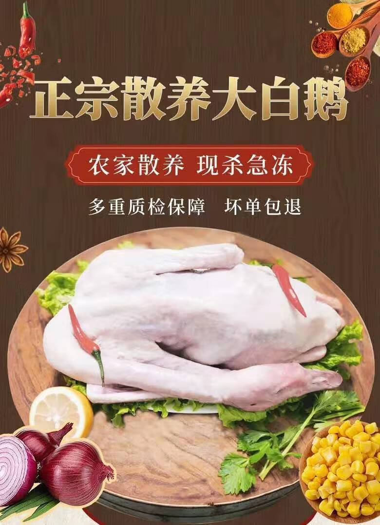 大鹅910斤速冻大鹅肉整只批发青年鹅大白鹅土鹅仔鹅农家散养杀完净重