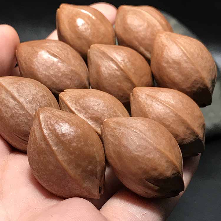 【京选好品】梅林橄榄核橄榄核手串梅林铁头核鹰嘴鲨鱼背原皮原料手串