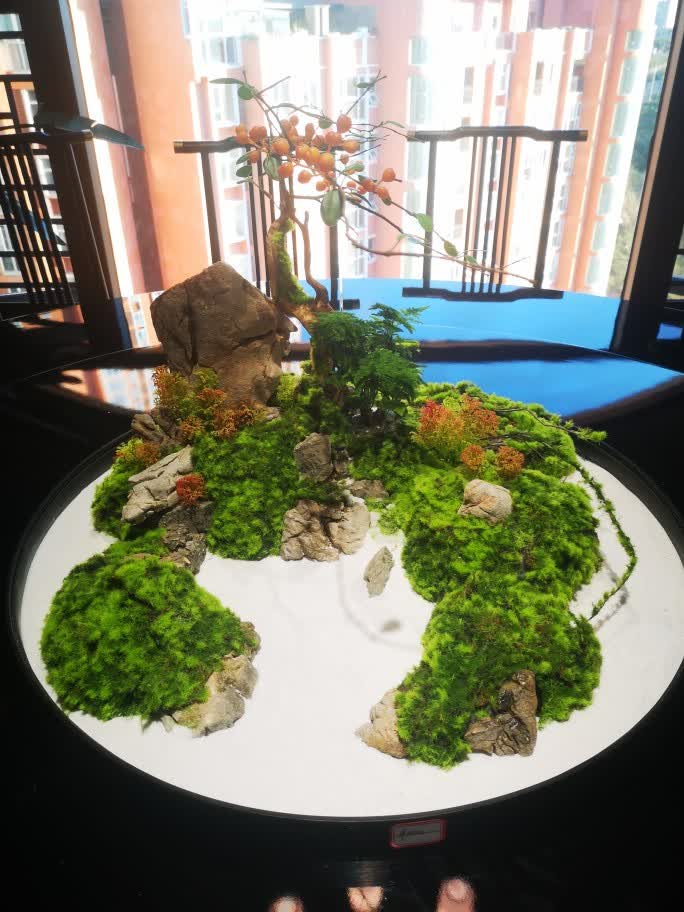 仿真青苔藓草皮草坪植物墙景观软装场背景橱窗展示盆景盆栽假苔藓一号