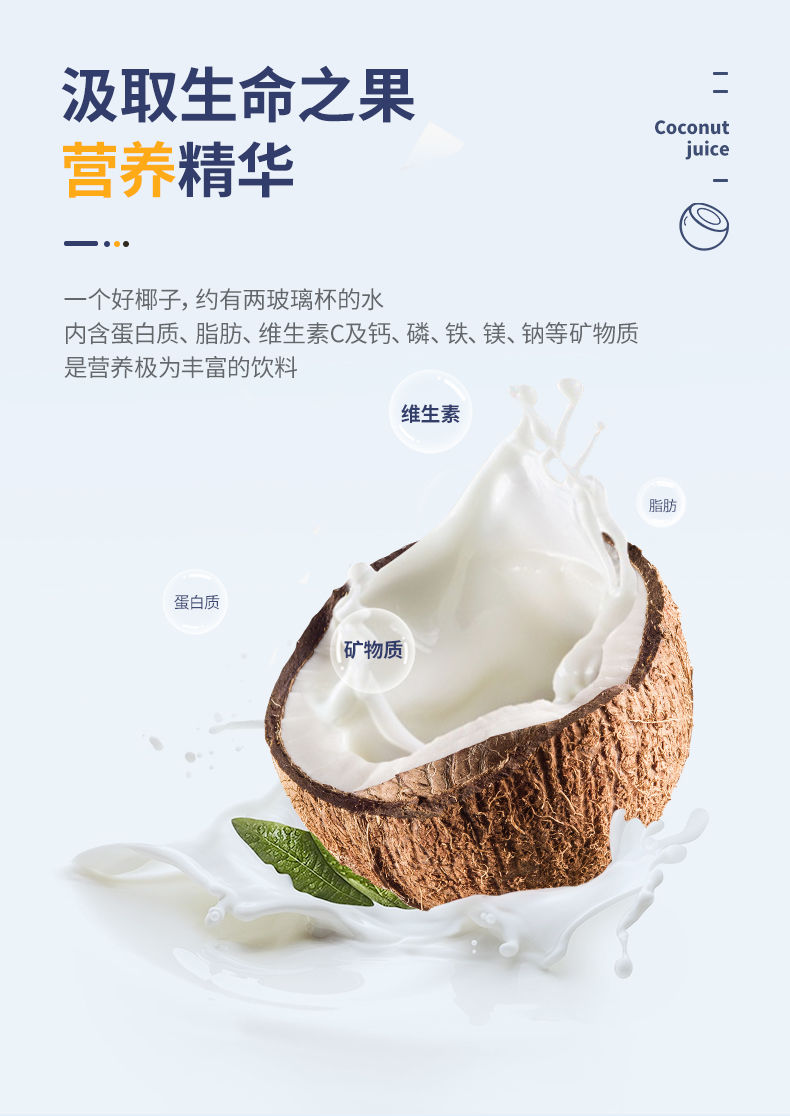 品香园海南椰果椰子汁海南岛生榨椰汁鲜榨椰奶椰浆罐装饮料整箱原味