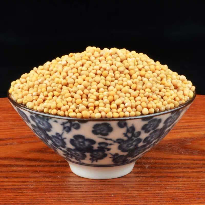 【官方旗舰】中药材 白芥子粉 芥菜子黄芥子辣菜子精选黄芥子 可磨粉