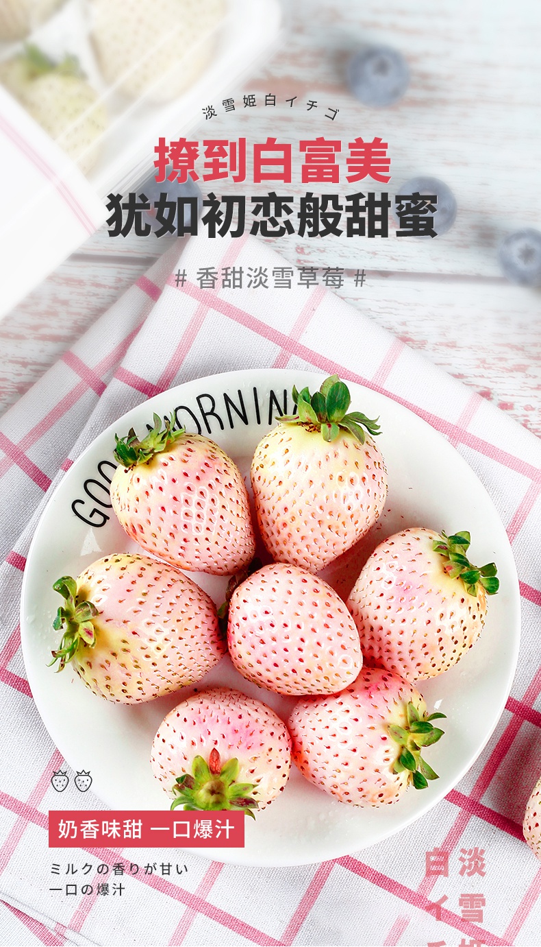 淡雪白草莓礼盒白雪公主一盒18颗礼盒装新鲜水果现摘现发奶油牛奶白色
