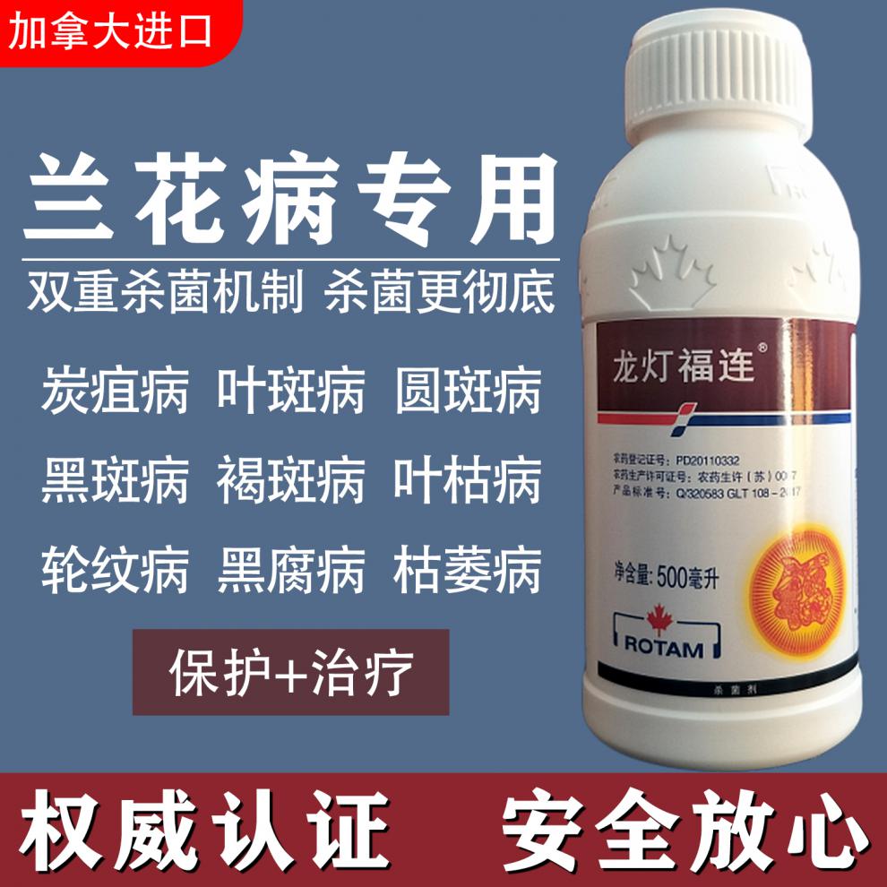 进口龙灯兰花专用杀菌剂炭疽病叶斑病圆斑病黑斑病褐斑叶枯病农药