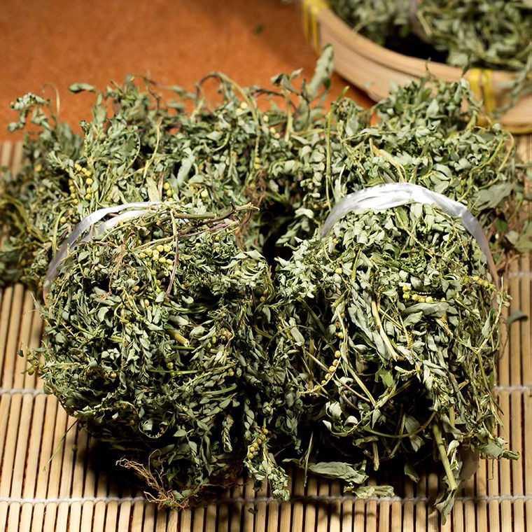 广西中草药叶下珠 新晒珍珠草干货 龙珠 珠仔草整株全草带根 广西中