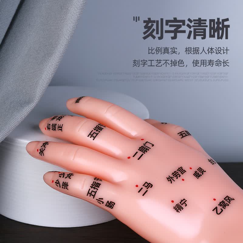 【jd健康】按摩手模型反射区人体针灸模型男女穴位经络针灸中医位手图