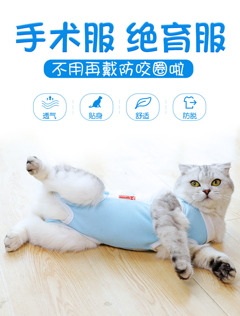 520礼物送女友猫咪绝育服母猫手术服衣服防掉毛断奶公猫防舔术后宠物
