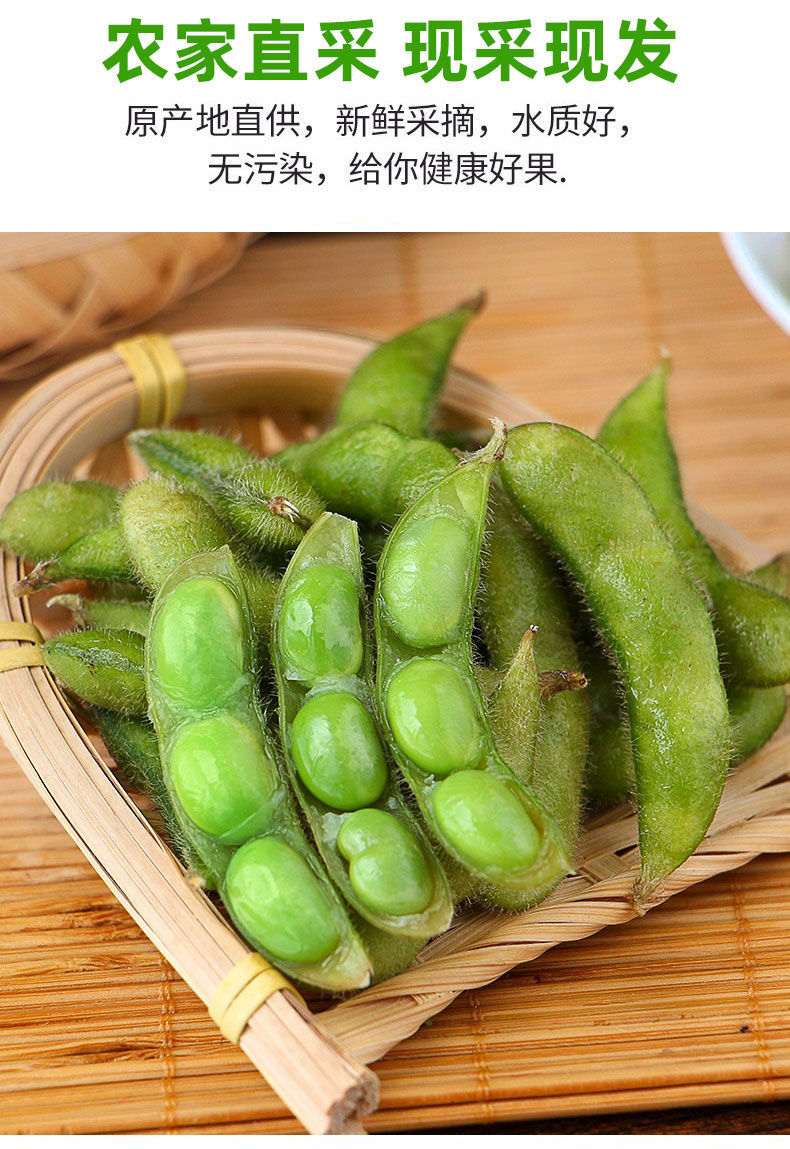 四川新鲜毛豆农家带壳生毛豆角现摘青大豆当季蔬菜颗粒饱满 新鲜毛豆8