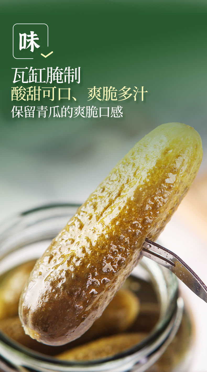 东北喀秋莎俄式酸黄瓜罐头玻璃罐俄罗斯风味腌黄瓜汉堡包乳黄瓜个头较