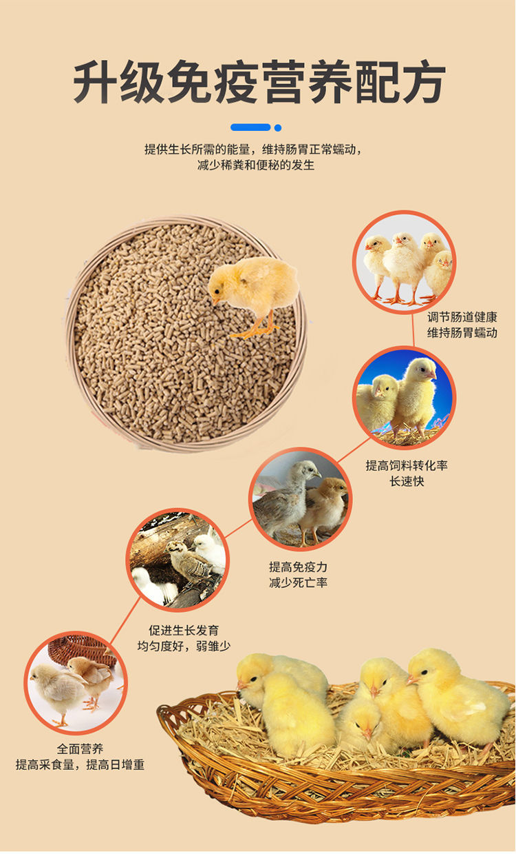 汐岩鸡饲料小鸡雏鸡饲料大鸡中鸡鸽子小鸟粮食食物口粮营养长得快小鸡