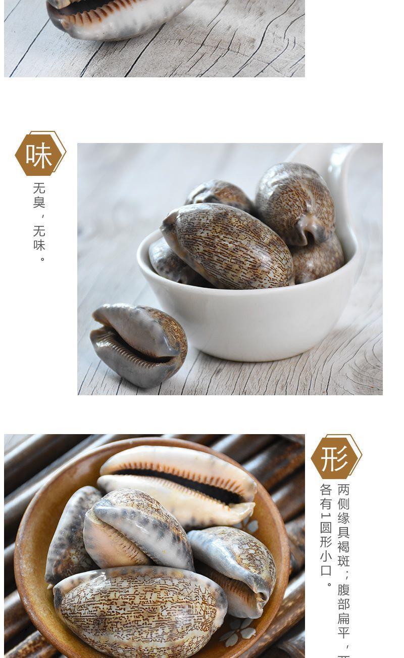 紫贝齿一斤半斤多规格紫贝文贝紫贝子南蛇牙齿奇草中药材店铺紫贝齿