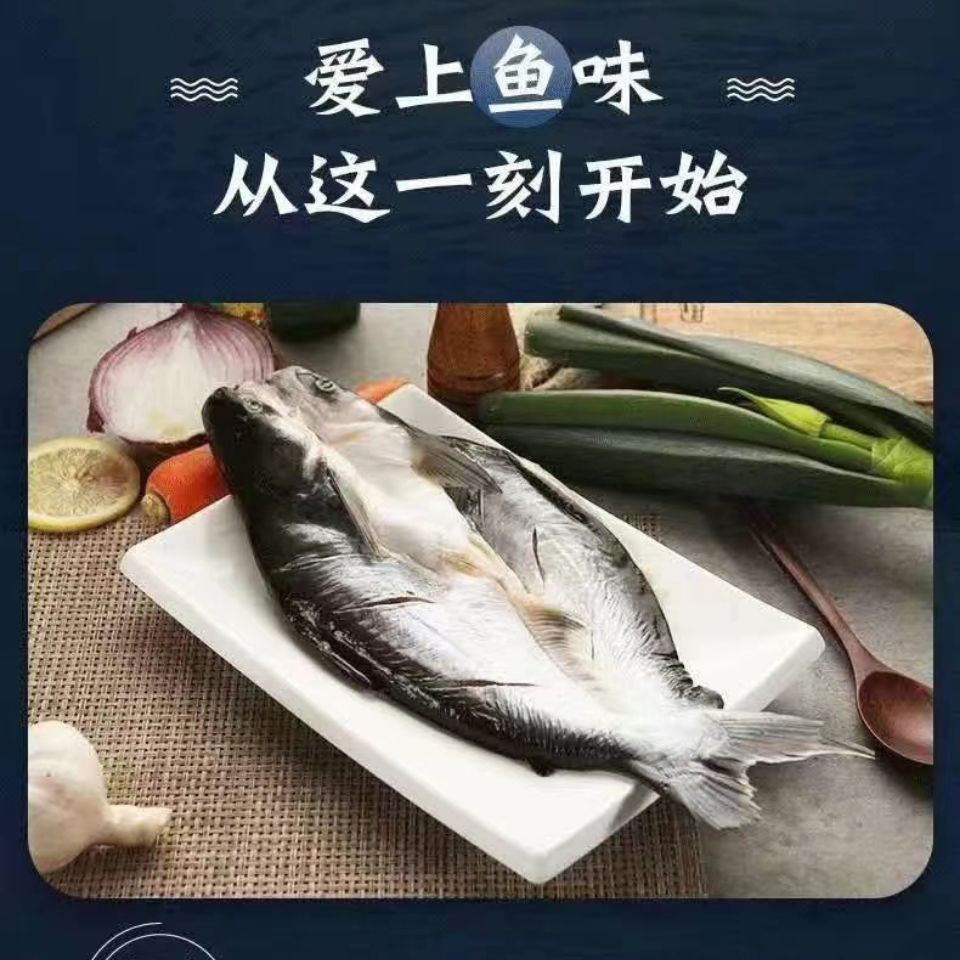 巴沙鱼新鲜冷冻刺少肉细腻老人都适合吃的鱼昌盛隆一条