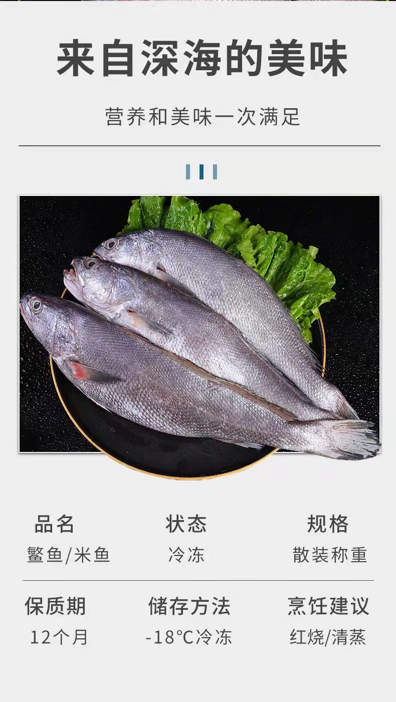 新鮮敏魚大米魚大號新鮮海捕速凍鮸魚米魚海魚海鮮水產批發5斤裝小號