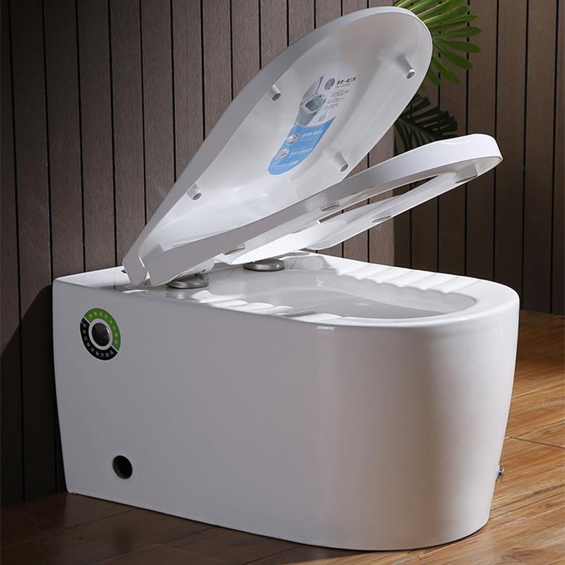 蹲坐两用马桶一体式家用无水箱可蹲可坐脉冲小户型双用矮款坐便器50