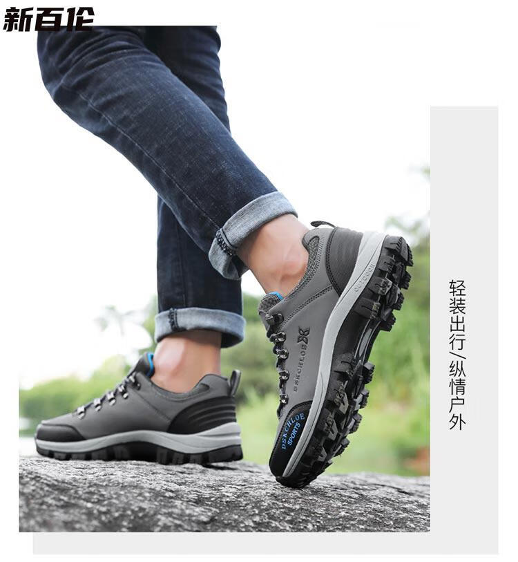 ff17f81ad70cc256.jpg