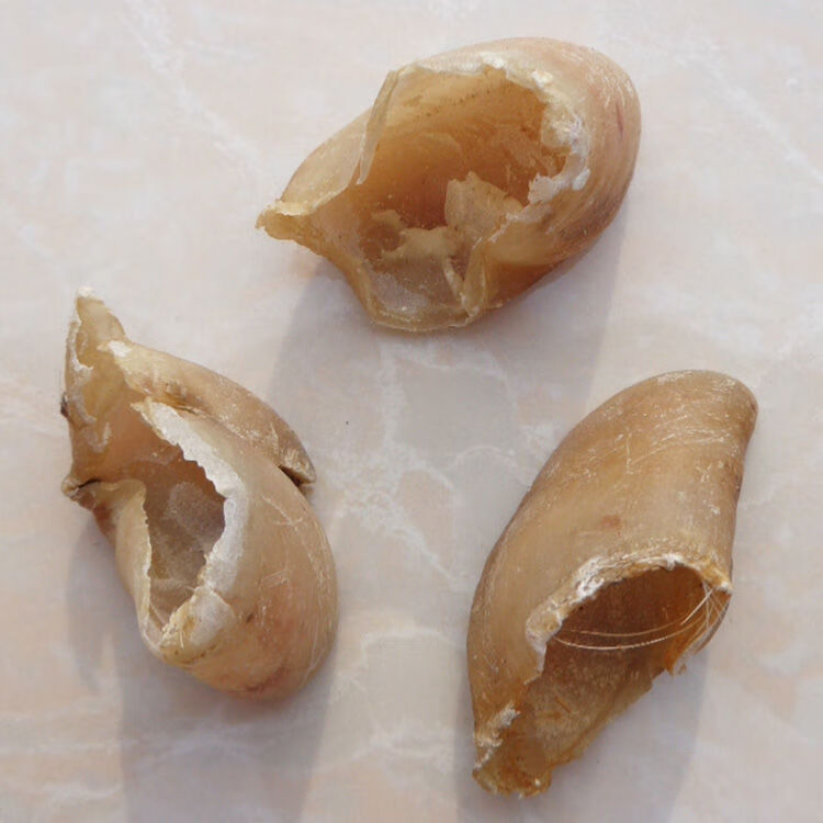 同仁堂有仁堂生猪蹄甲生猪爪甲生猪退猪悬蹄猪蹄合子猪悬蹄甲中药材