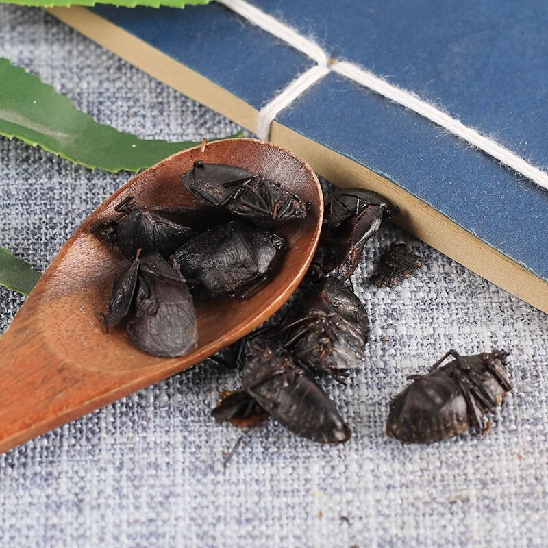 野生云南大九香虫中药材正宗新货大九香虫打屁虫臭 100克野生云南大