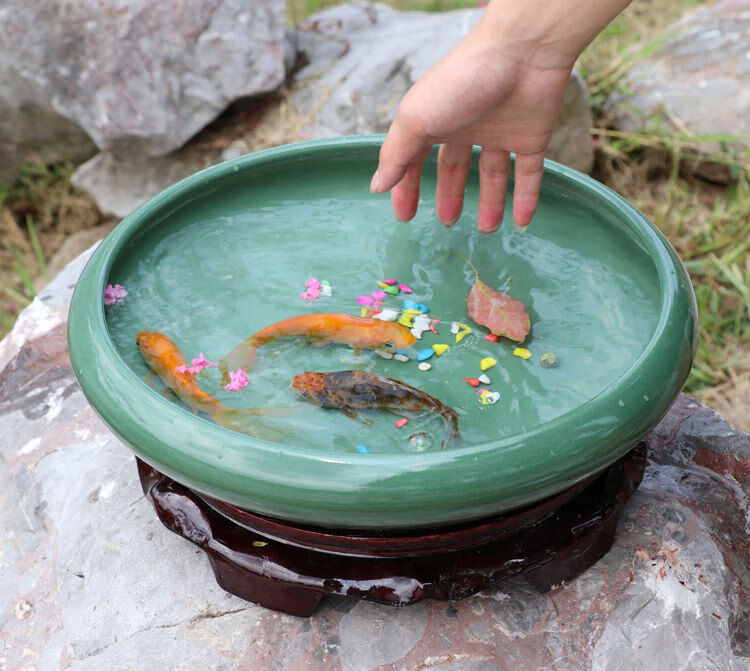 景德镇陶瓷鱼缸养鱼盆家用乌龟缸铜钱草盆睡莲碗莲盆青花瓷盆绿冰大号