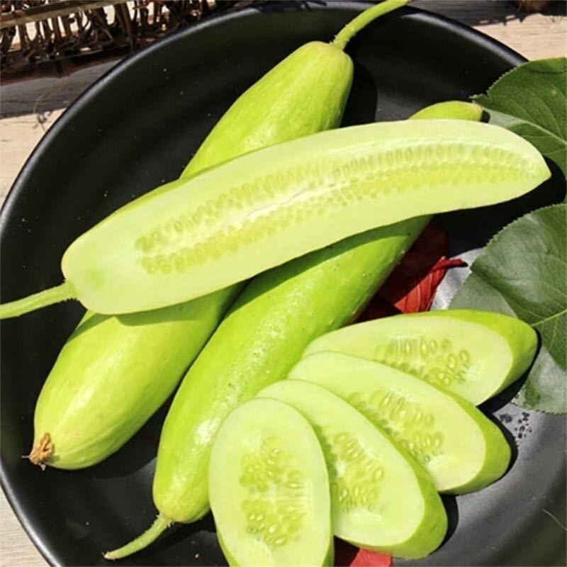 白黄瓜种子奶油黄瓜种子白皮水果黄瓜籽口感脆甜爽口甜脆黄瓜盆栽
