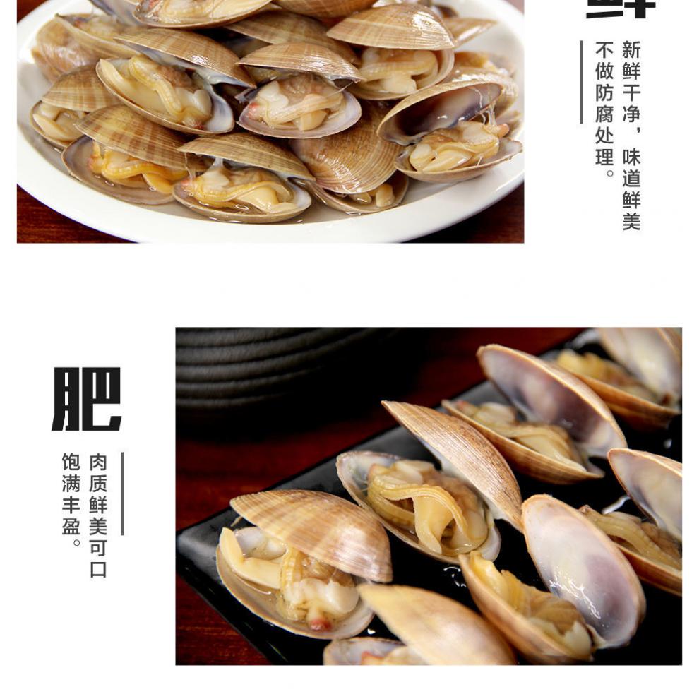 丹東黃蜆子 丹東特產即食大黃蜆子鮮活黃蜆子海鮮真空黃蜆子青柳蛤