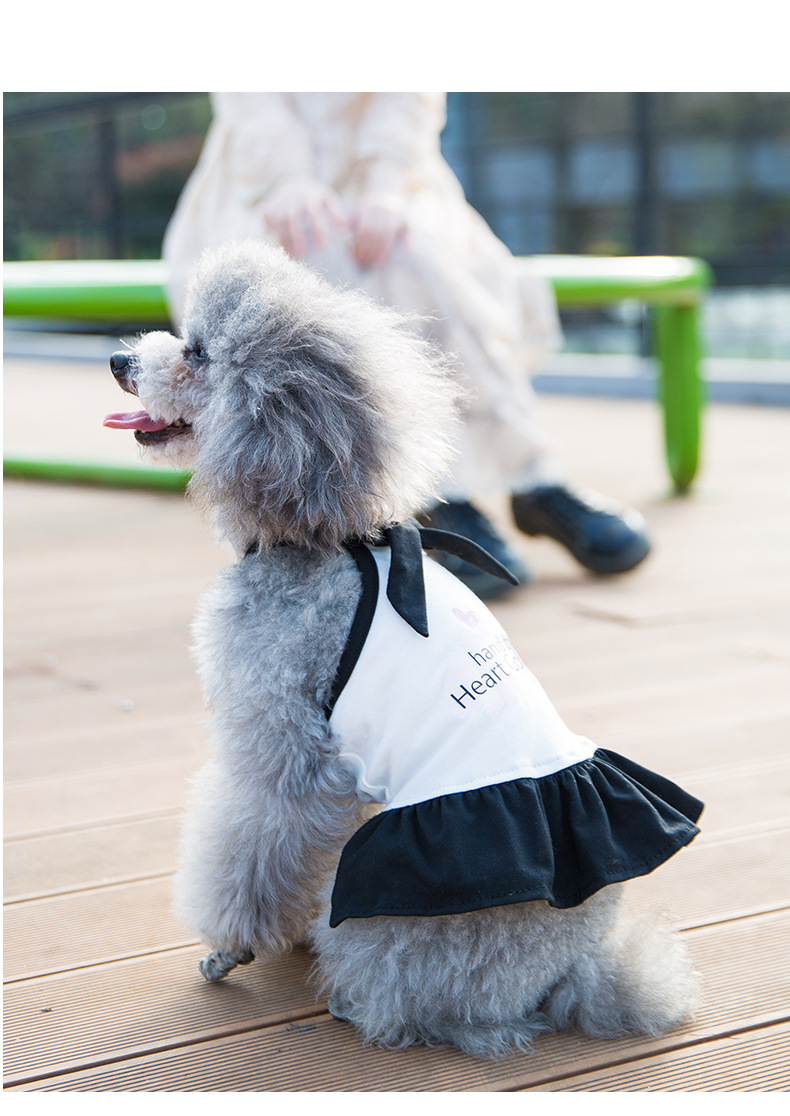 狗狗裙子春夏装泰迪比熊博美柯基宠物衣服小型犬吊带裙可爱公主裙