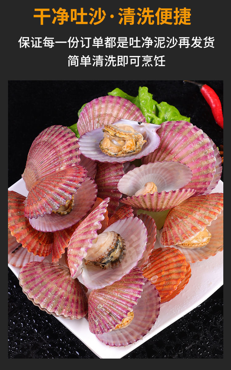 码头直发鲜活带壳超大半壳扇贝虾夷贝特大扇贝新鲜扇贝肉5斤装精选