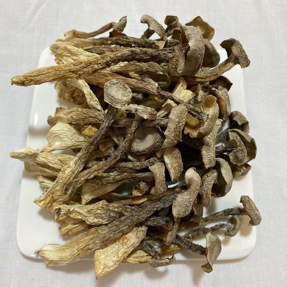 鹿茸菇無硫新鮮菌類福建古田食用菌散裝乾貨土特產地直銷特級鹿茸菇