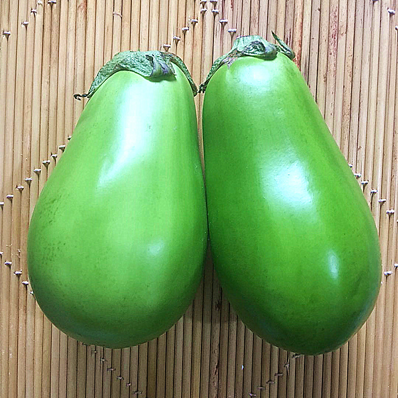 河南农家自种新鲜青茄子食用蔬菜绿茄子茄子圆茄子1500g