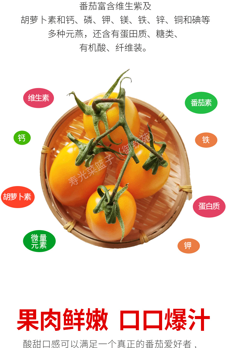 奶香黄罗曼西红柿山东特产一串黄色番茄现摘新鲜橙色洋柿子3斤装