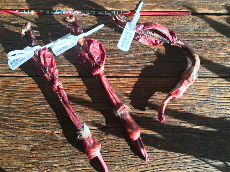 鹿鞭整根整枝鹿鞭干整枝130g