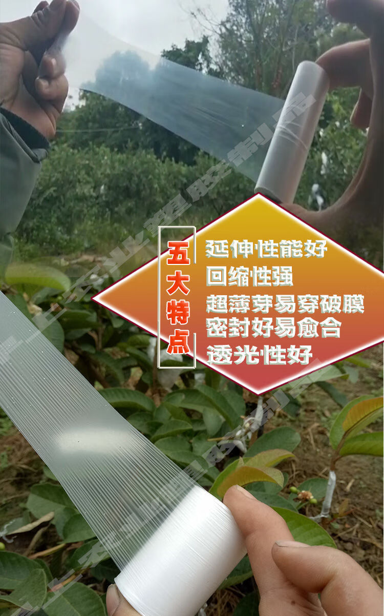 糯米纸嫁接带嫁接专用膜嫁接膜免拆农用果树需打结薄膜 嫁接绑带 7cm