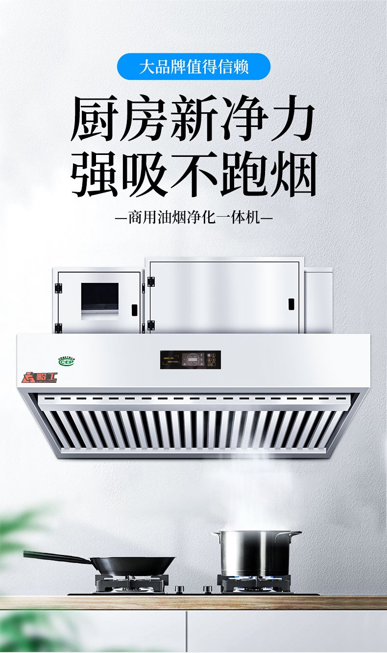 岭工油烟净化一体机商用饭店厨房烟罩餐饮低空排放净化器油烟机经济款